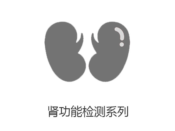 肾功能